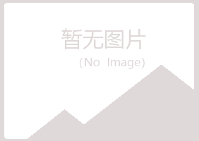 山西紫山化学有限公司